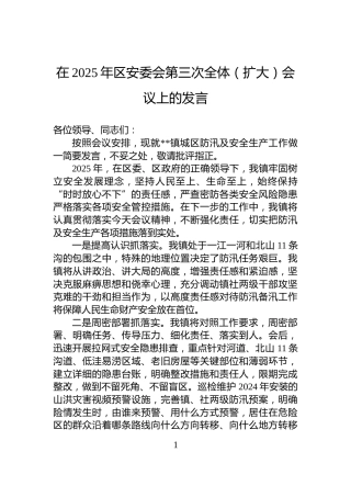 在2025年区安委会第三次全体（扩大）会议上的发言