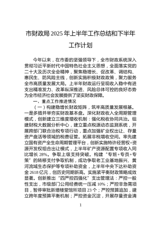 市财政局2025年上半年工作总结和下半年工作计划