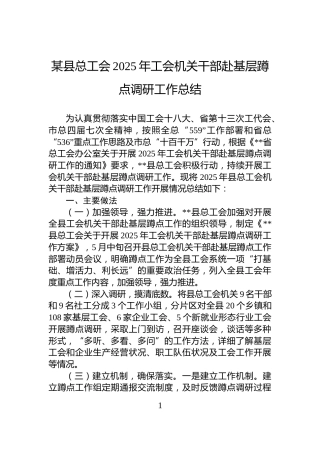 某县总工会2025年工会机关干部赴基层蹲点调研工作总结