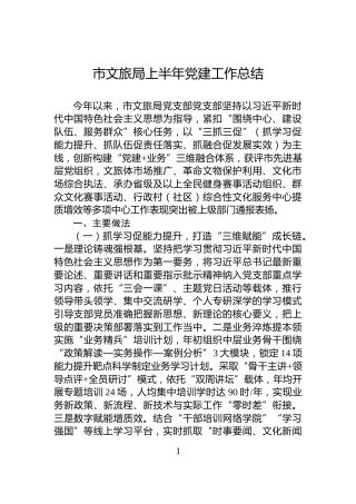 市文旅局上半年党建工作总结