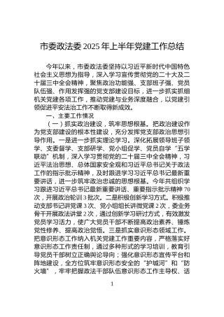 市委政法委2025年上半年党建工作总结