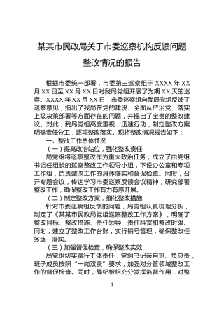 某某市民政局关于市委巡察机构反馈问题整改情况的报告