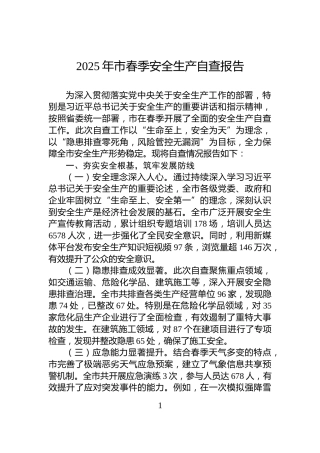 2025年市春季安全生产自查报告