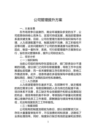 公司管理提升方案