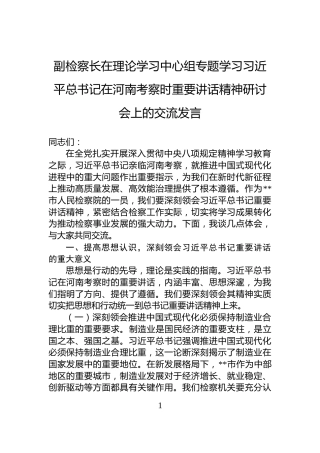 副检察长在理论学习中心组专题学习习近平总书记在河南考察时重要讲话精神研讨会上的交流发言