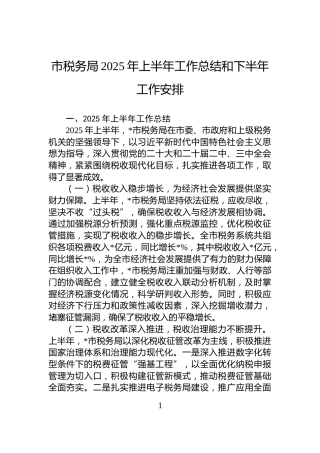 市税务局2025年上半年工作总结和下半年工作安排