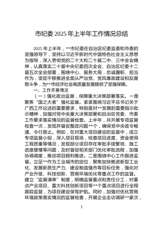 市纪委2025年上半年工作情况总结