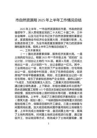 市自然资源局2025年上半年工作情况总结