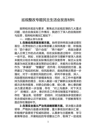 巡视整改专题民主生活会发言材料