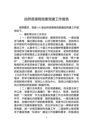 自然资源局党委党建工作报告