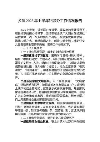 乡镇2025年上半年妇联办工作情况报告
