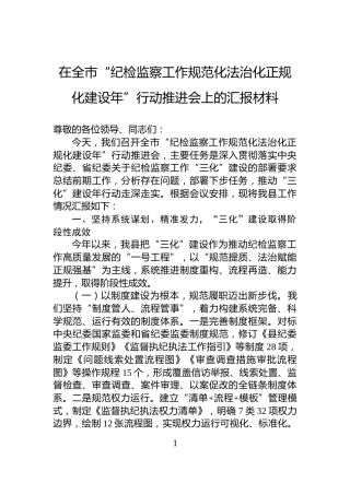 在全市“纪检监察工作规范化法治化正规化建设年”行动推进会上的汇报材料
