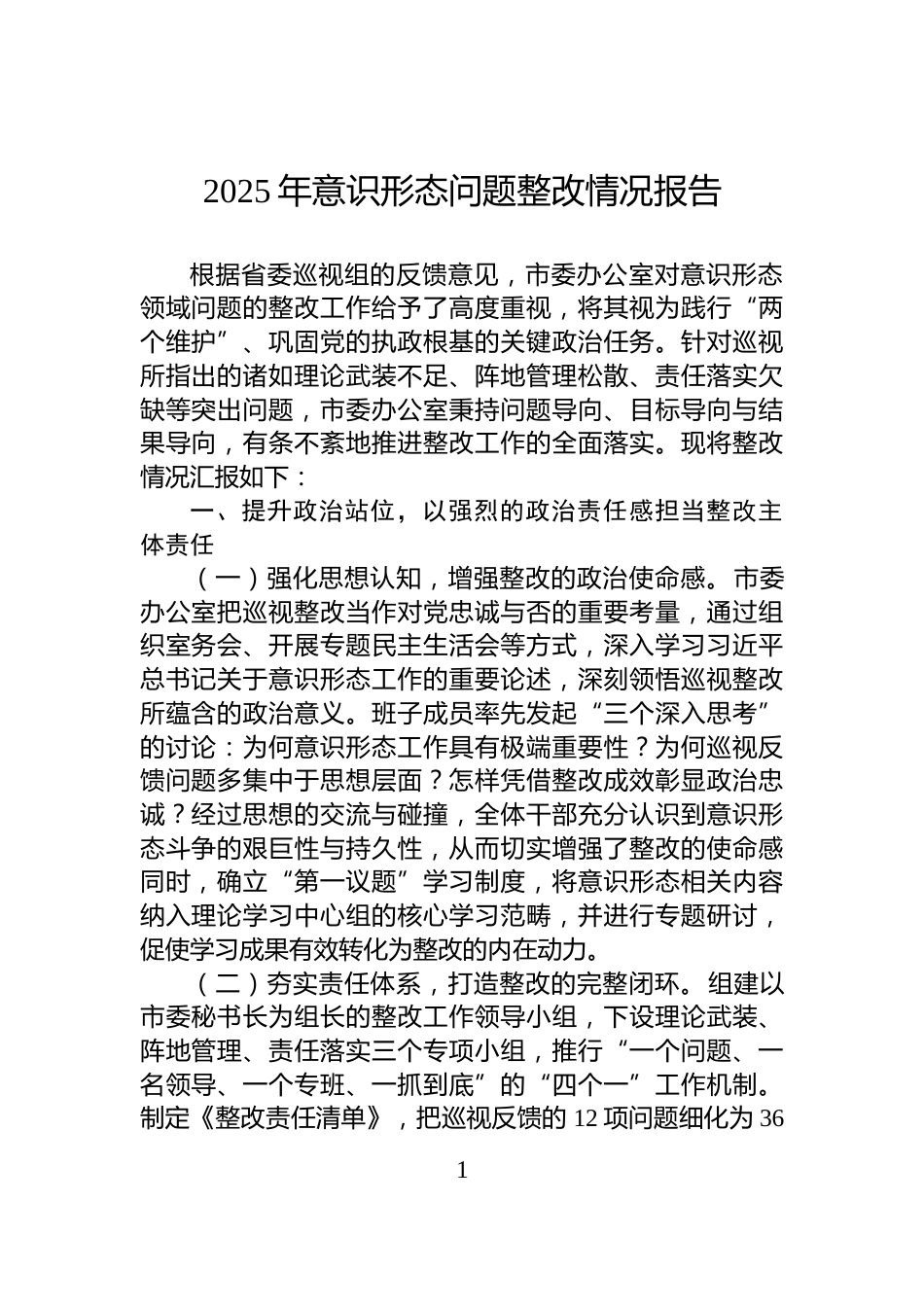 2025年意识形态问题整改情况报告_第1页