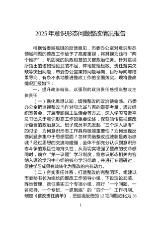 2025年意识形态问题整改情况报告