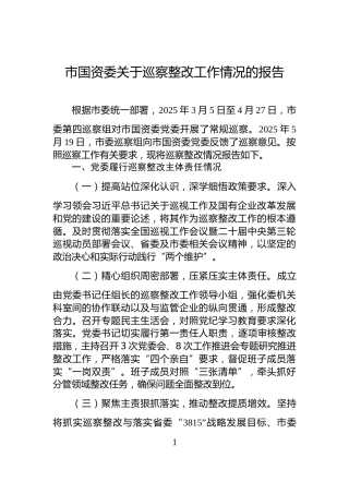 市国资委关于巡察整改工作情况的报告