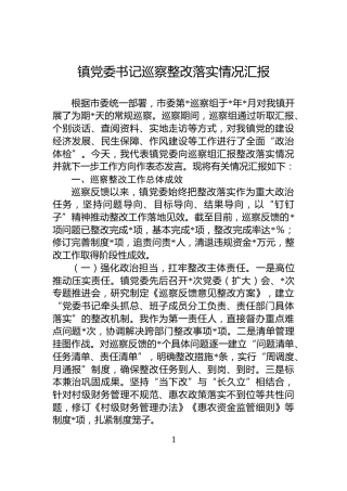 镇党委书记巡察整改落实情况汇报