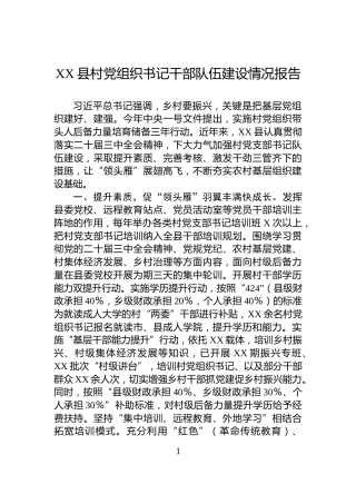 XX县村党组织书记干部队伍建设情况报告