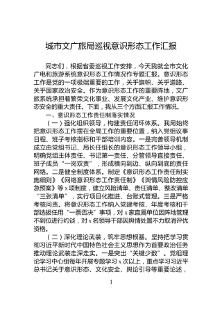 城市文广旅局巡视意识形态工作汇报