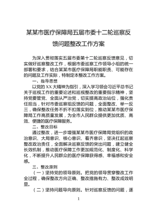 某某市医疗保障局五届市委十二轮巡察反馈问题整改工作方案