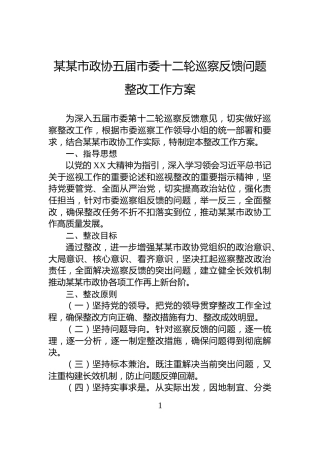 某某市政协五届市委十二轮巡察反馈问题整改工作方案