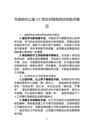 市政府办公室XX同志对其他同志的批评意见