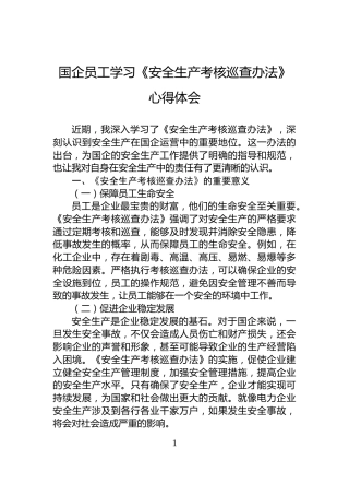 国企员工学习《安全生产考核巡查办法》心得体会