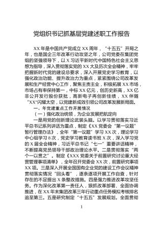 党组织书记抓基层党建述职工作报告