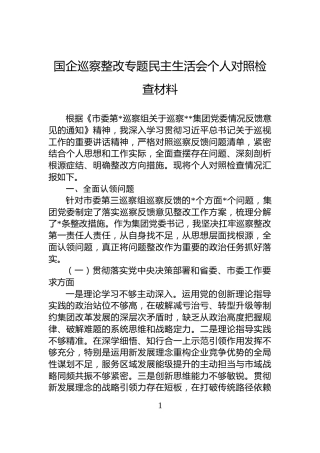 国企巡察整改专题民主生活会个人对照检查材料