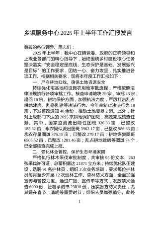 乡镇服务中心2025年上半年工作汇报发言