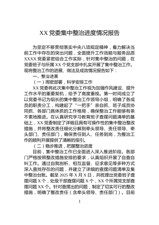 XX党委集中整治进度情况报告