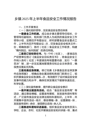 乡镇2025年上半年食品安全工作情况报告