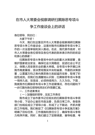 在市人大常委会视察调研扫黑除恶专项斗争工作座谈会上的讲话