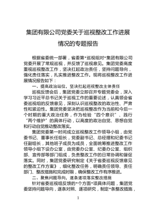 集团有限公司党委关于巡视整改工作进展情况的专题报告