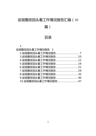 巡视整改回头看工作情况报告汇编（10篇）