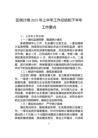 区统计局2025年上半年工作总结和下半年工作要点