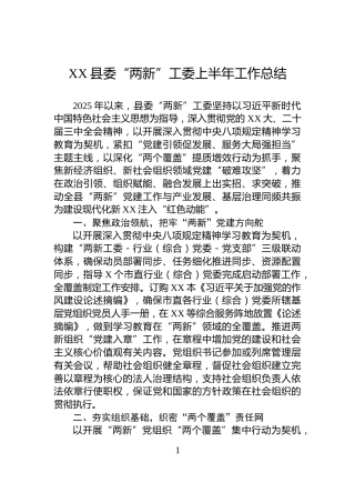 XX县委“两新”工委上半年工作总结