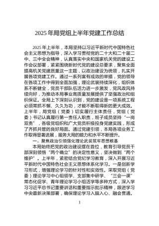 2025年局党组上半年党建工作总结