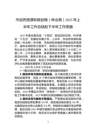 市自然资源和规划局（林业局）2025年上半年工作总结和下半年工作思路