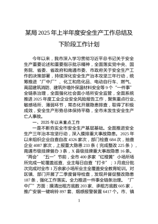 某局2025年上半年度安全生产工作总结及下阶段工作计划