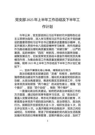 党支部2025年上半年工作总结及下半年工作计划