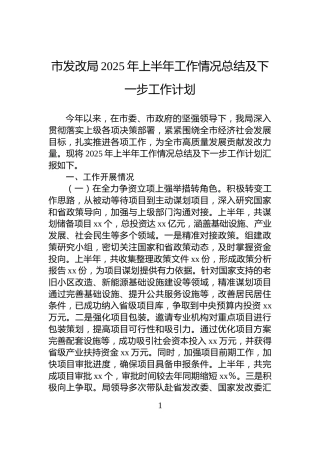 市发改局2025年上半年工作情况总结及下一步工作计划