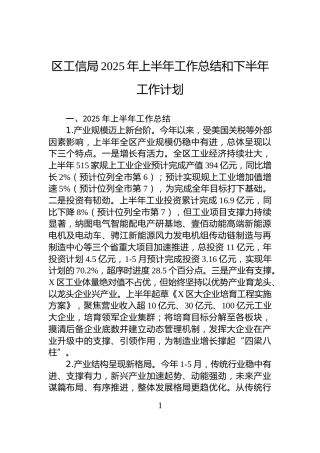 区工信局2025年上半年工作总结和下半年工作计划