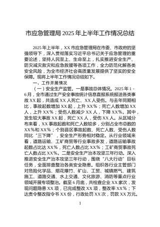 市应急管理局2025年上半年工作情况总结