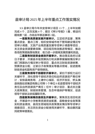县审计局2025年上半年重点工作落实情况