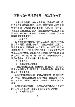 某某市农村环境卫生集中整治工作方案