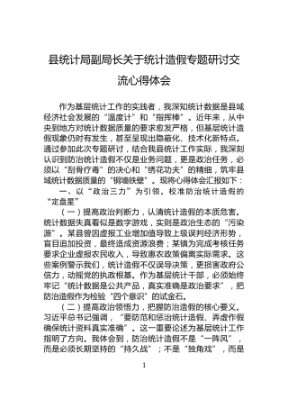 县统计局副局长关于统计造假专题研讨交流心得体会