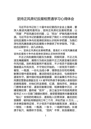 坚持正风肃纪反腐相贯通学习心得体会