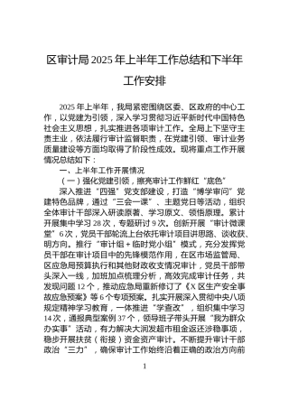 区审计局2025年上半年工作总结和下半年工作安排