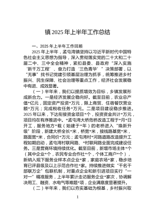 镇2025年上半年工作总结
