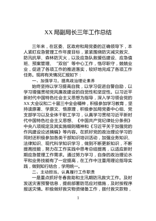 XX局副局长三年工作总结